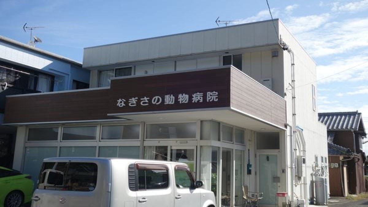 なぎさの動物病院