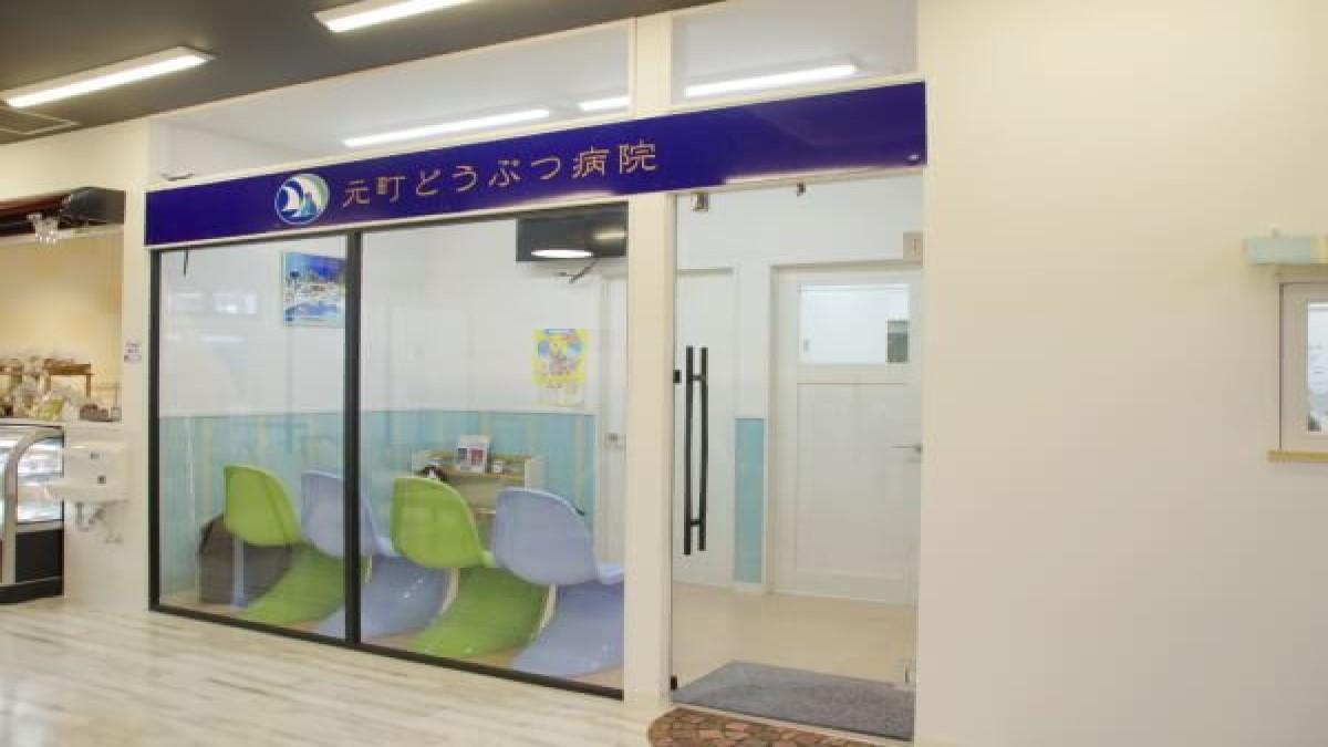 元町どうぶつ病院