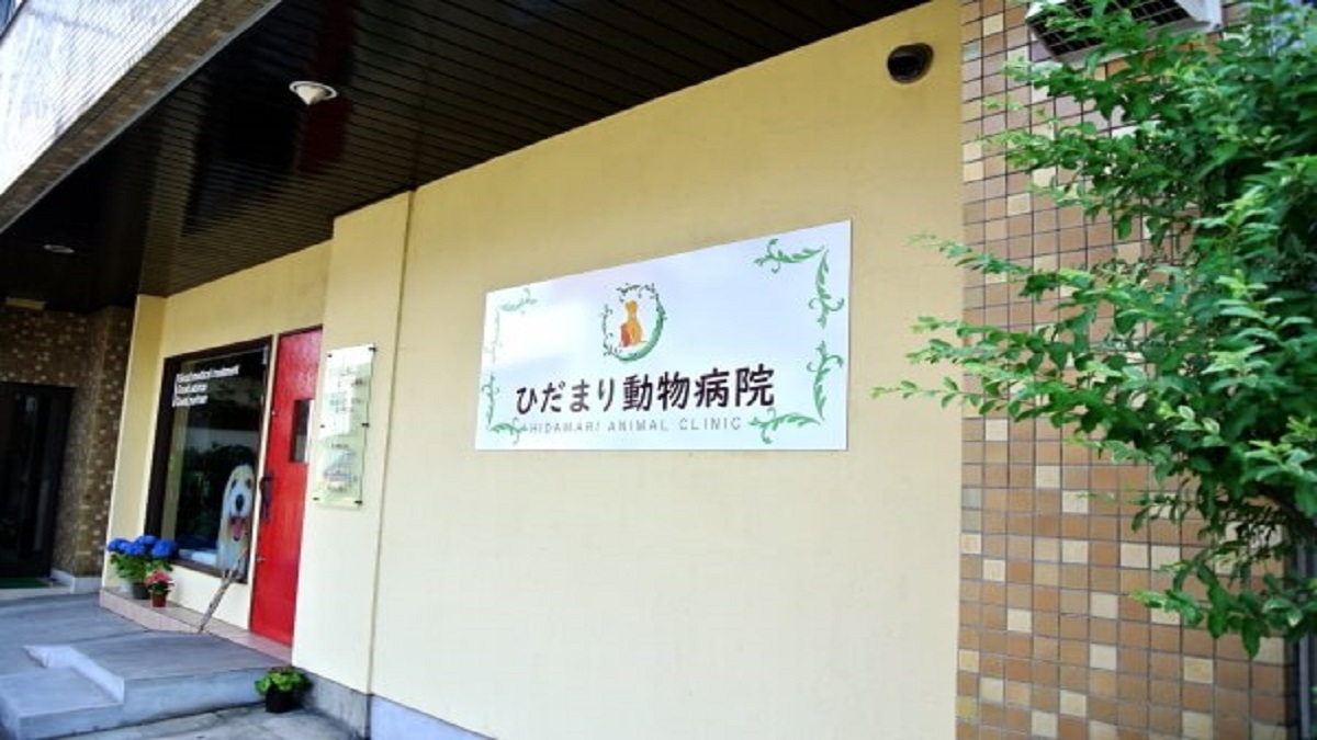 ひだまり動物病院