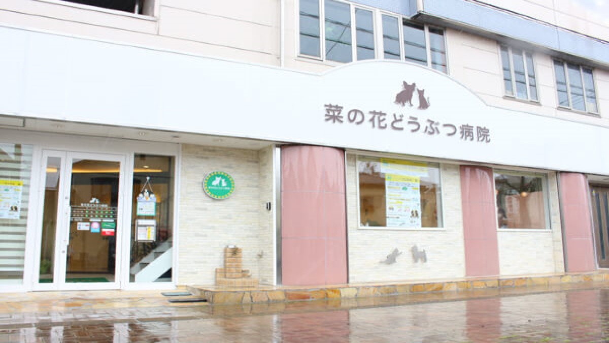 菜の花どうぶつ病院