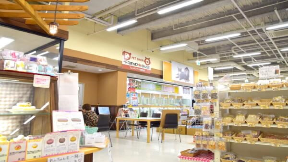 トーリーメイト動物病院