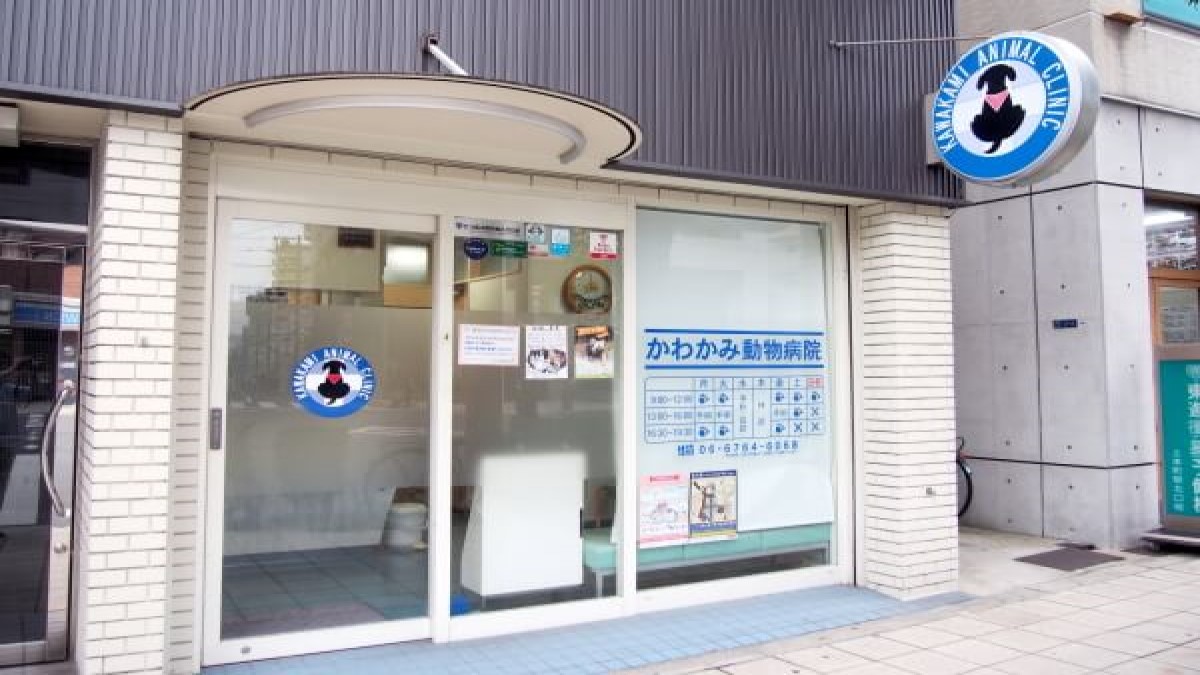 かわかみ動物病院