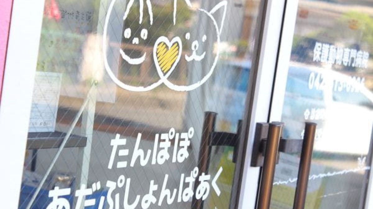 たんぽぽあだぷしょんぱぁく