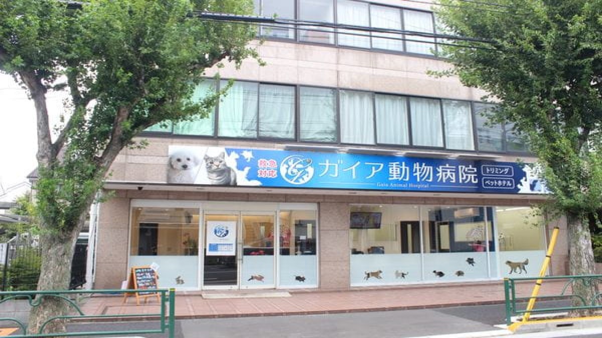 ガイア動物病院