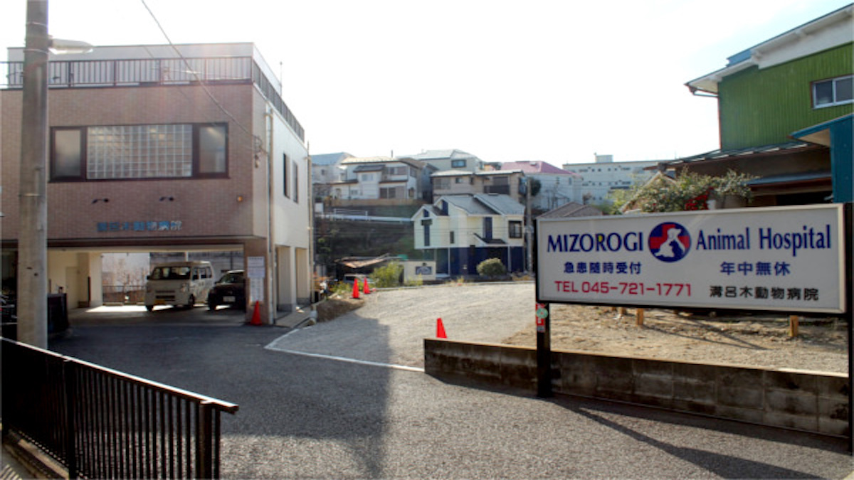 溝呂木動物病院