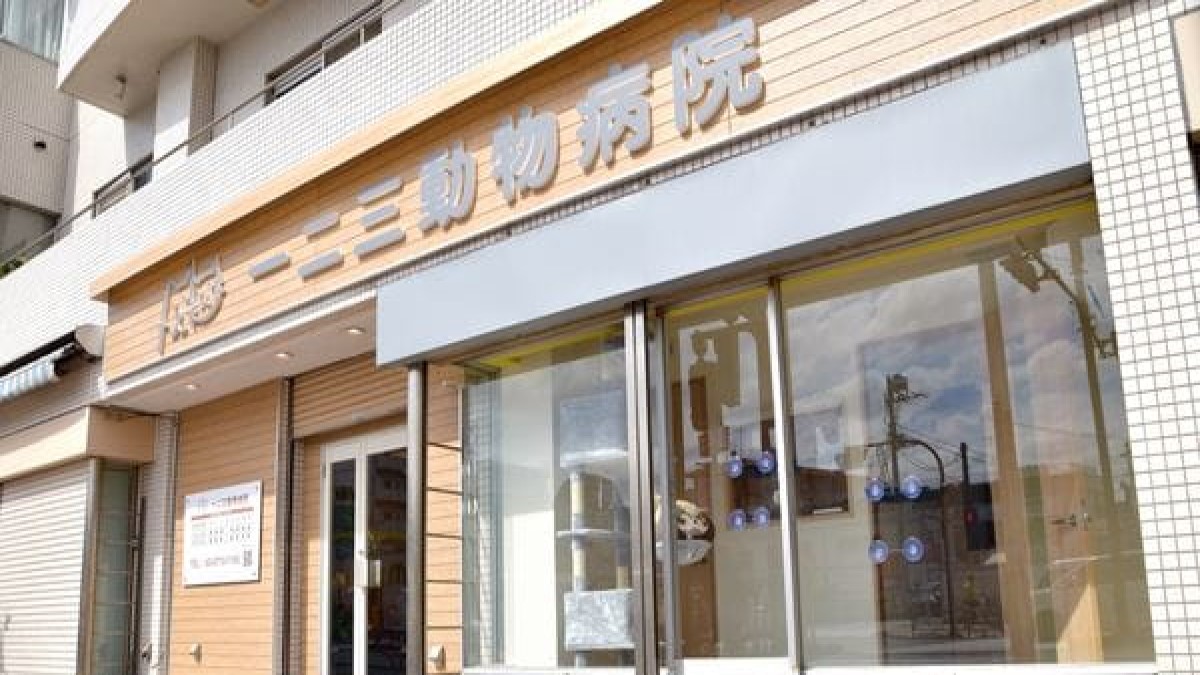 一二三動物病院