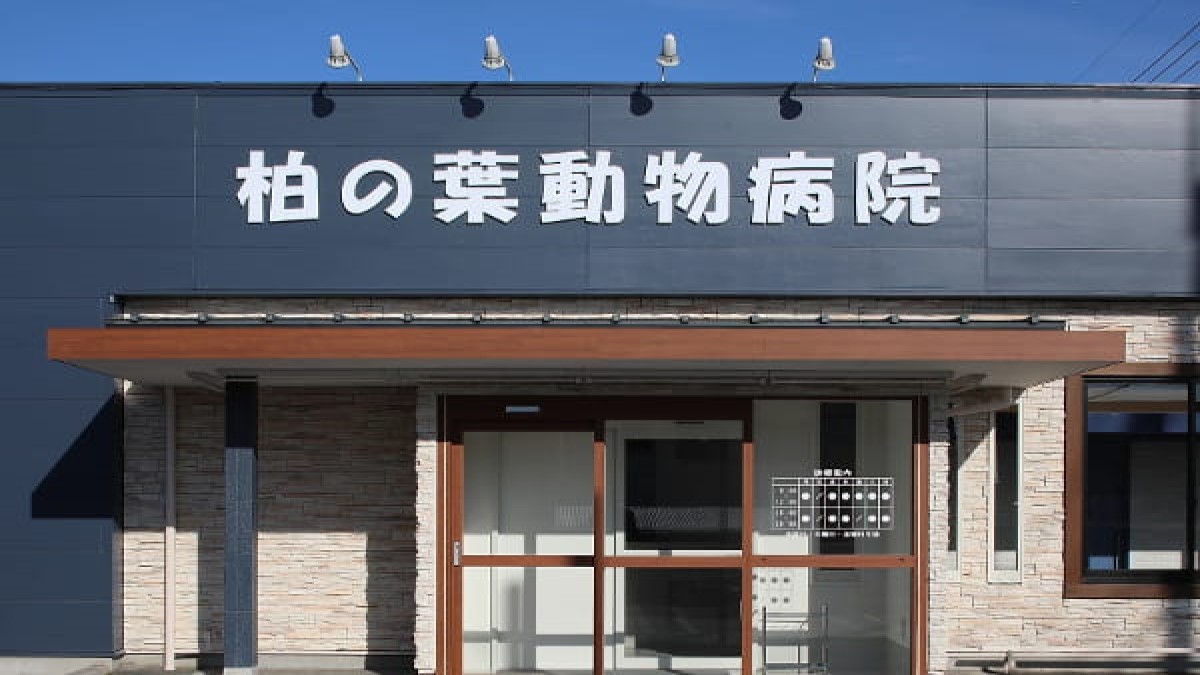 柏の葉動物病院