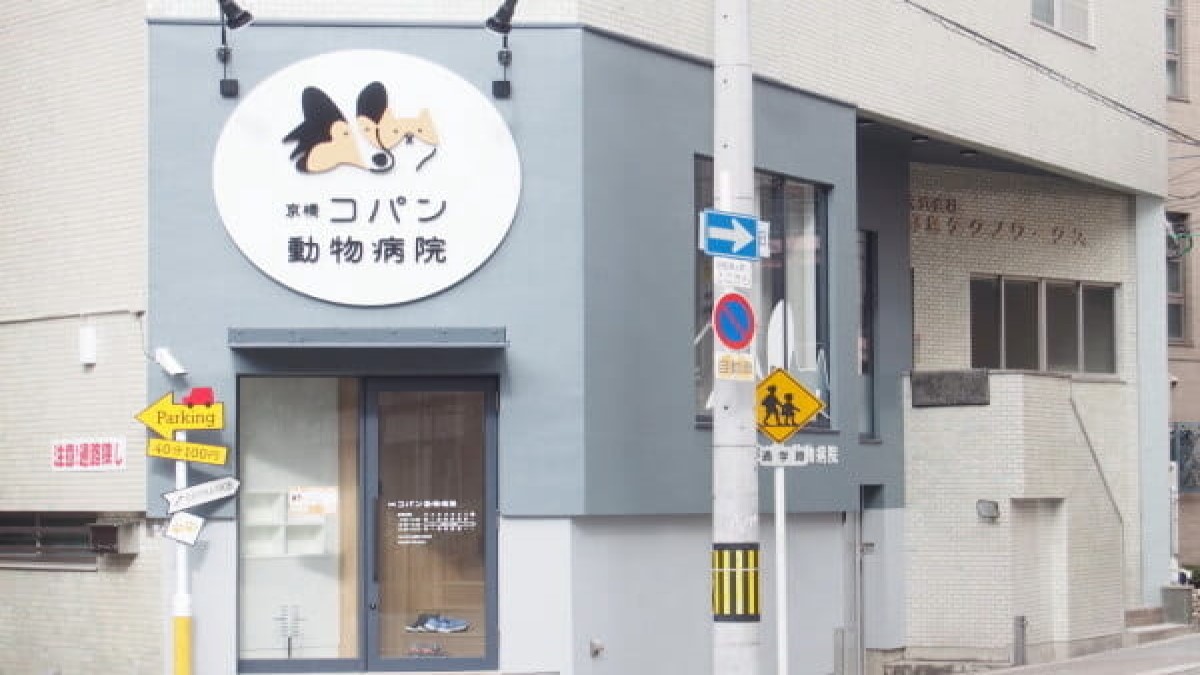 京橋コパン動物病院