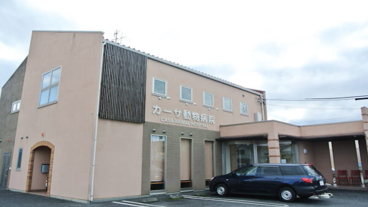 カーサ動物病院