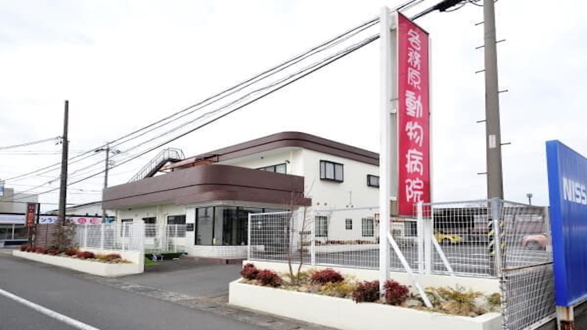 各務原動物病院