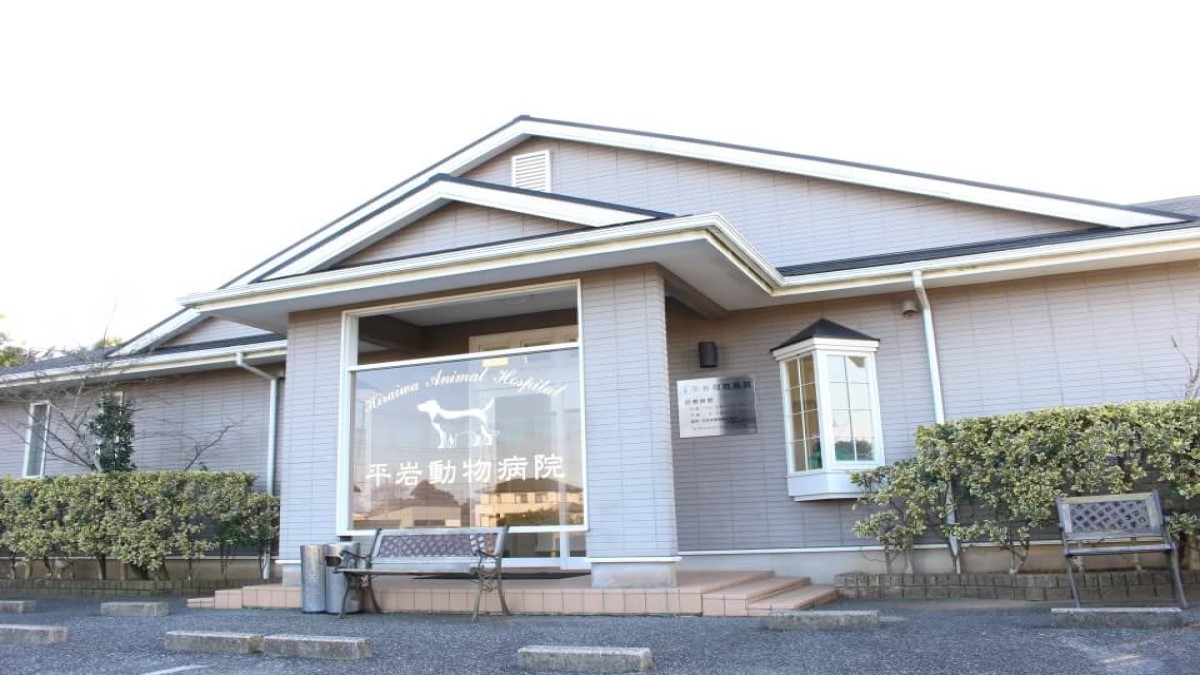 いすみ動物病院