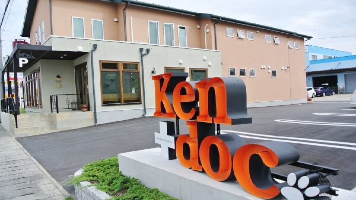 犬と猫の病院Kendoc.