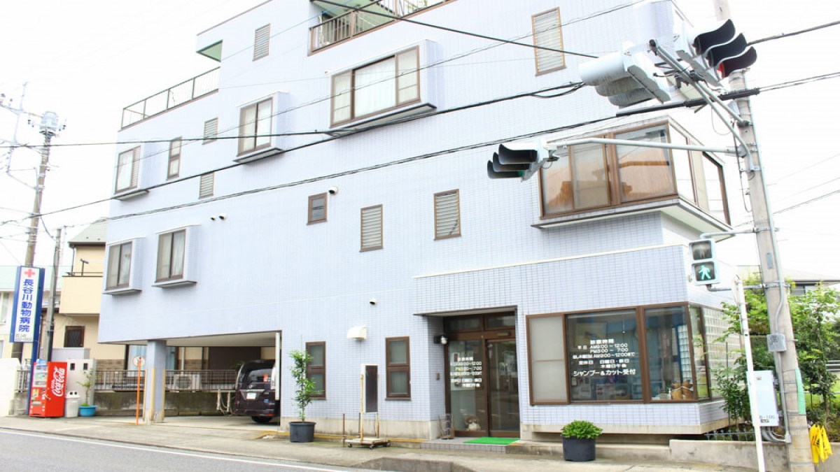 長谷川動物病院