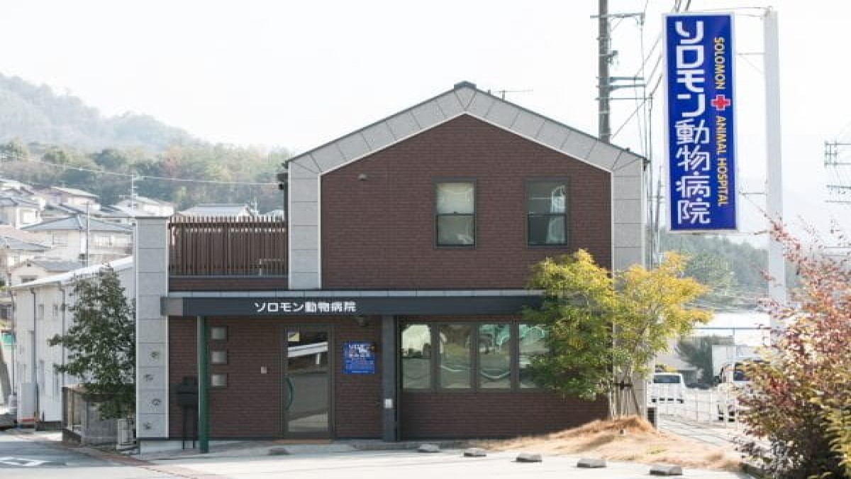 ソロモン動物病院