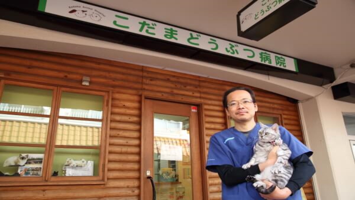 こだまどうぶつ病院