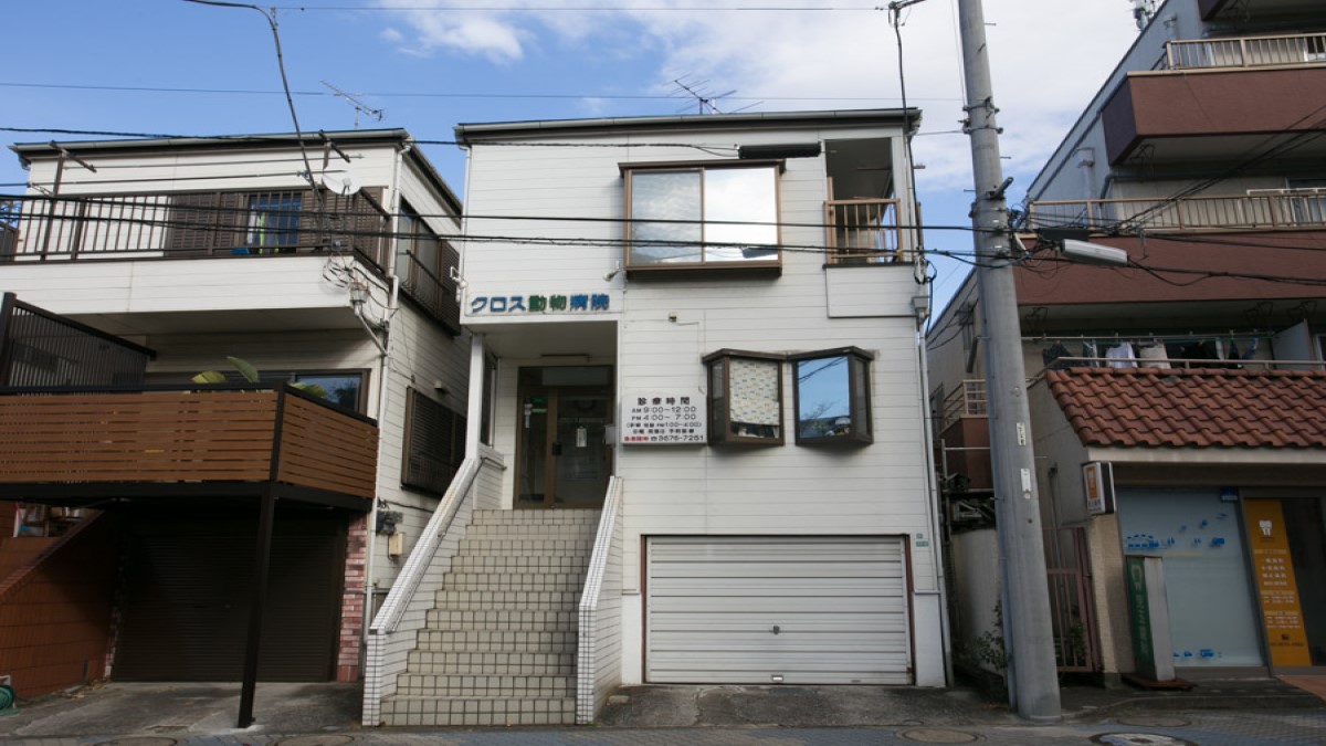 クロス動物病院