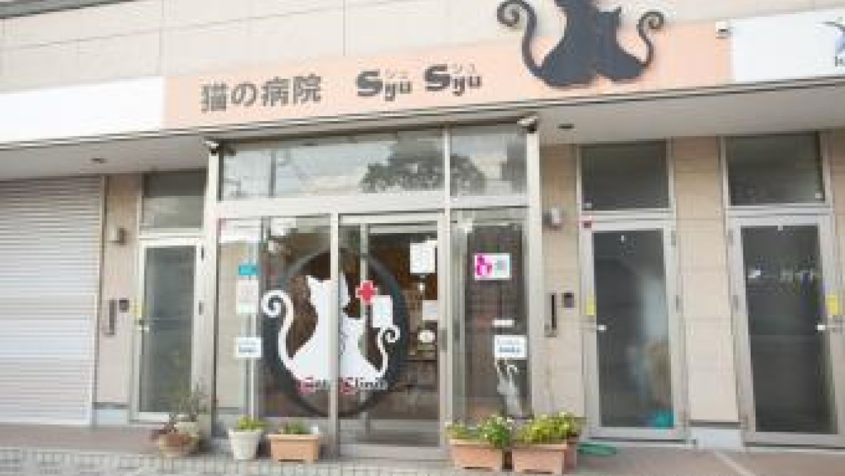 SyuSyu CAT Clinic