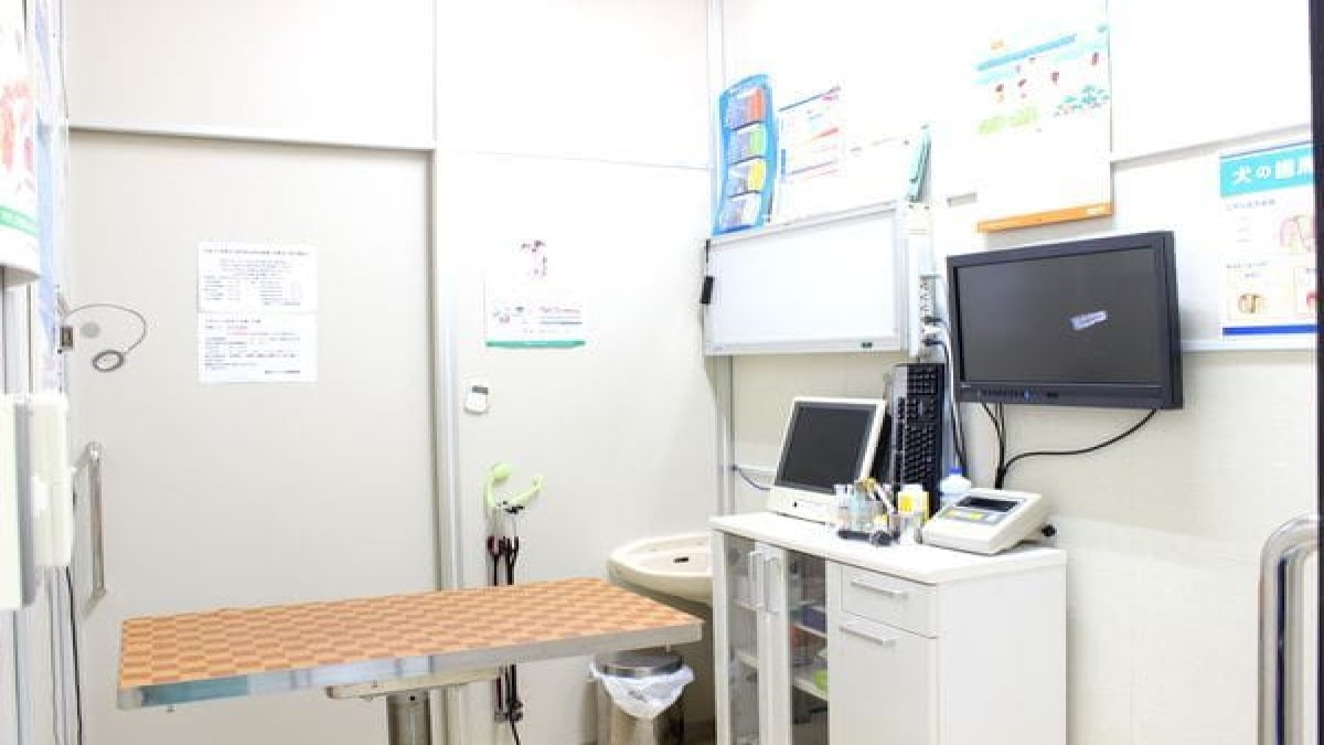 豊洲スマイル動物病院