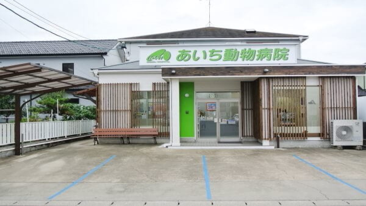 あいち動物病院