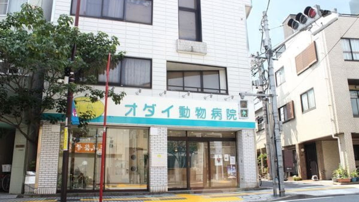 オダイ動物病院