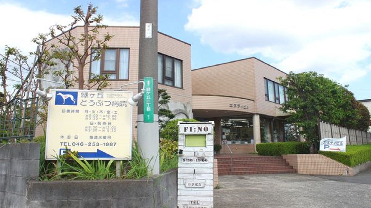 緑ヶ丘どうぶつ病院