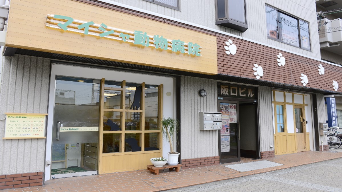 マイシャ動物病院