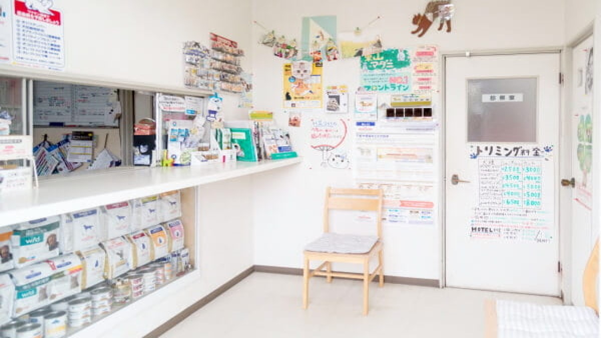 東山動物病院