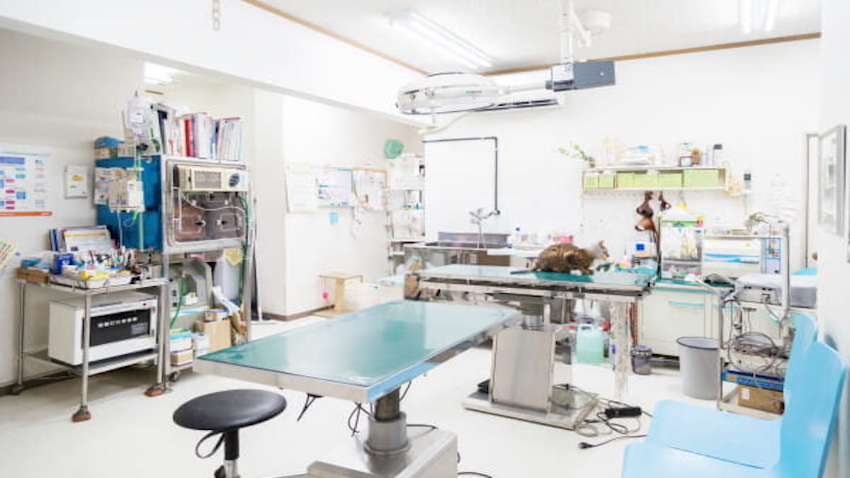 東山動物病院