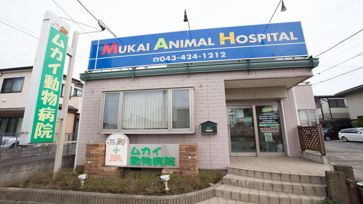 ムカイ動物病院