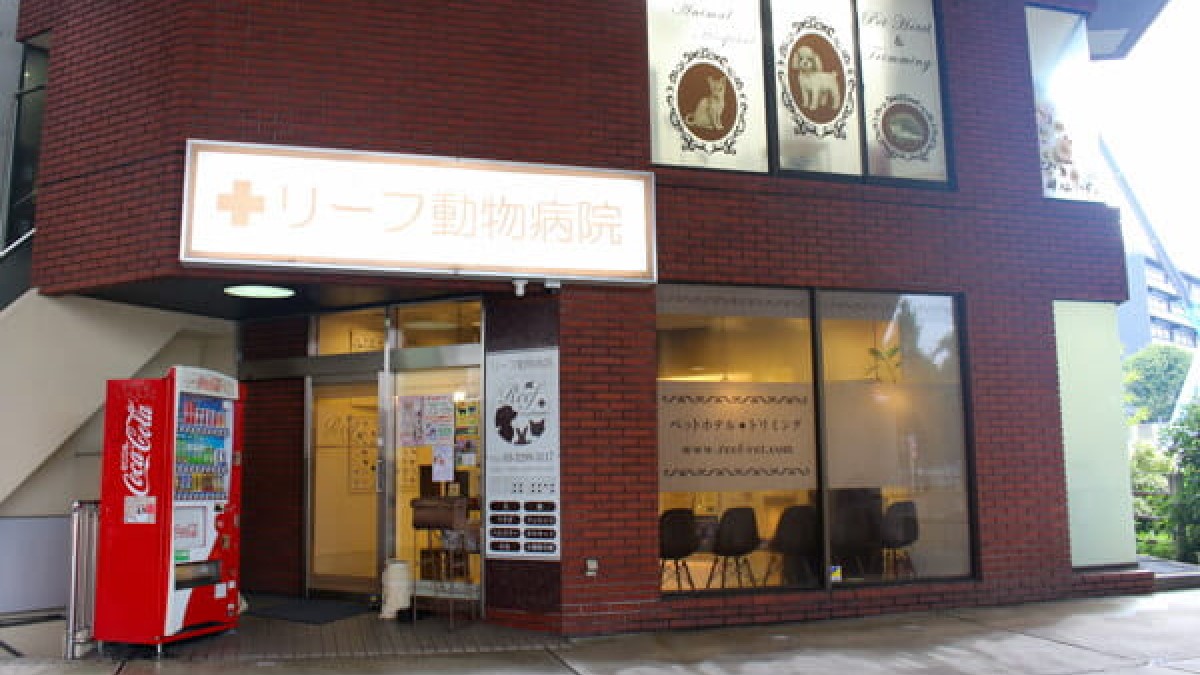 リーフ動物病院