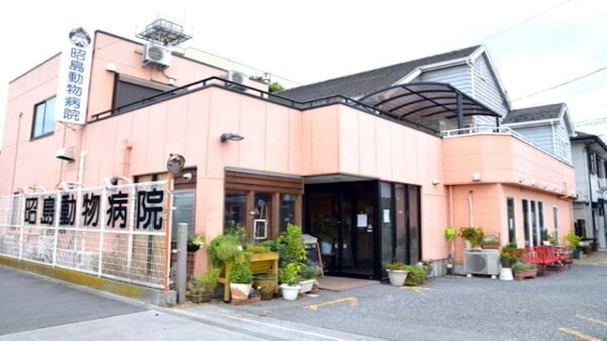 昭島動物病院