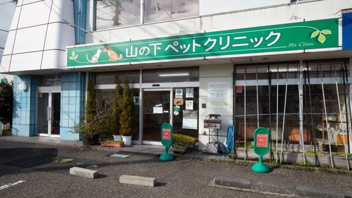 山の下ペットクリニック