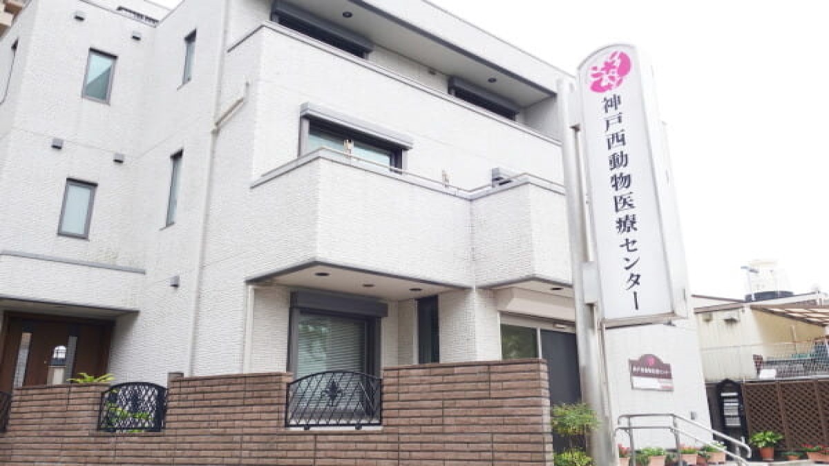 神戸西動物医療センター
