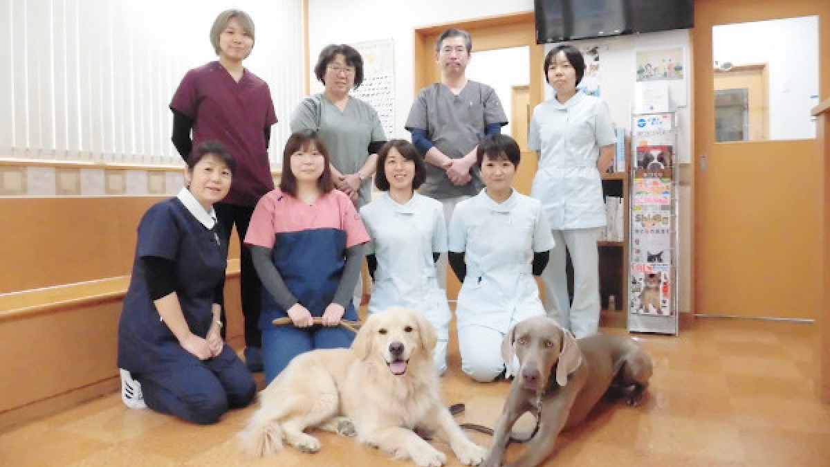 ライフ動物病院