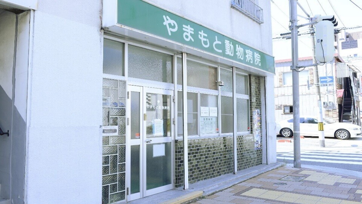 やまもと動物病院