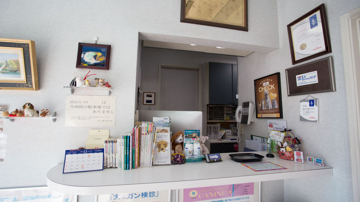 池田動物病院 成城通り病院