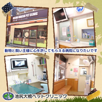 池尻大橋ペットクリニック