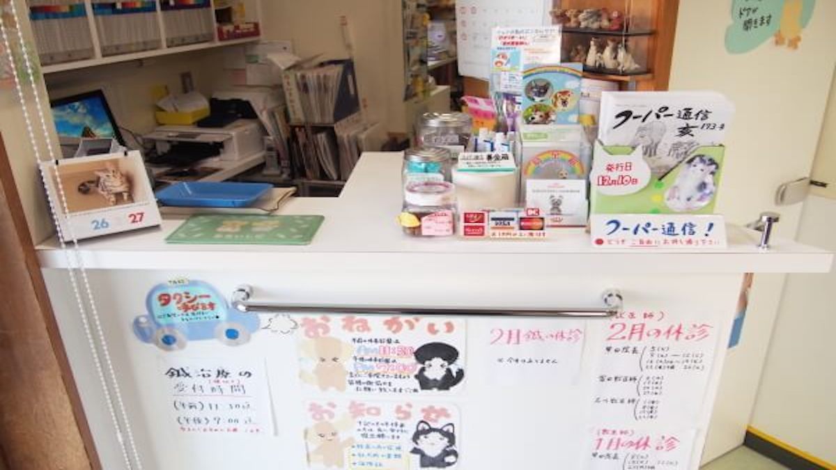 クーパー動物病院