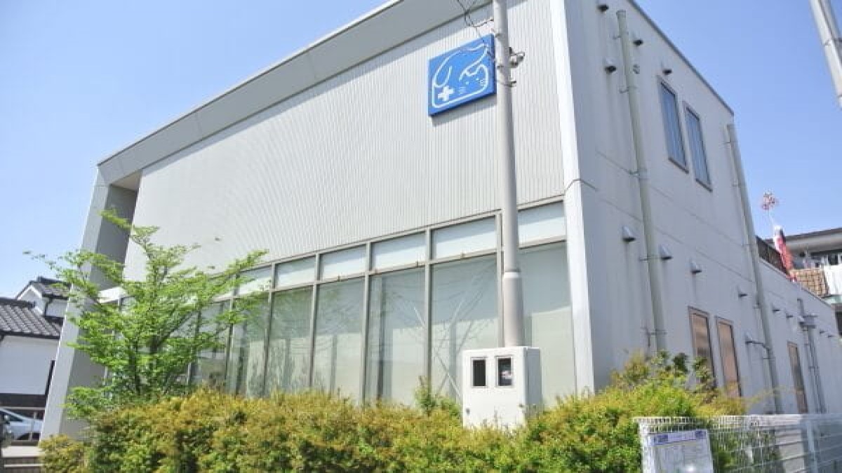 伊藤どうぶつ病院