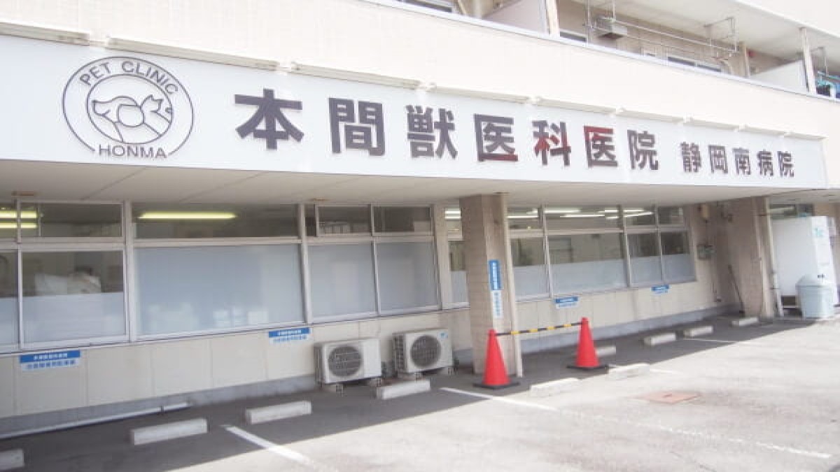 本間獣医科医院 静岡南病院
