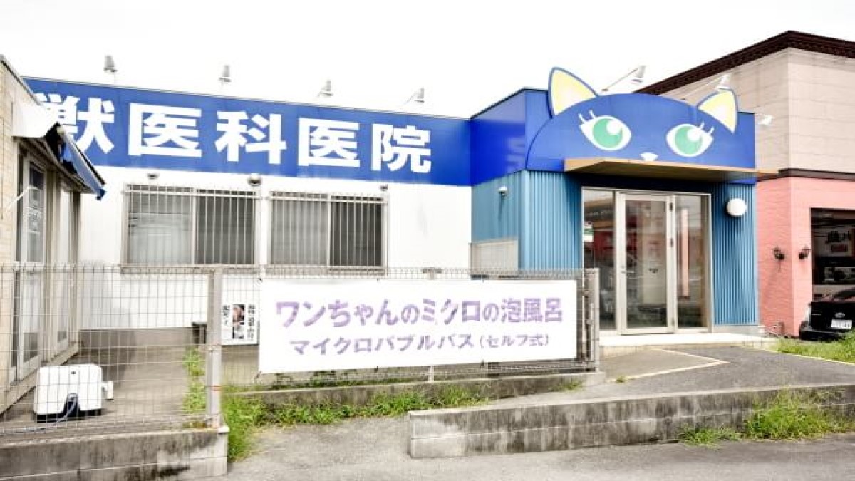 本間獣医科医院 清水鳥坂病院