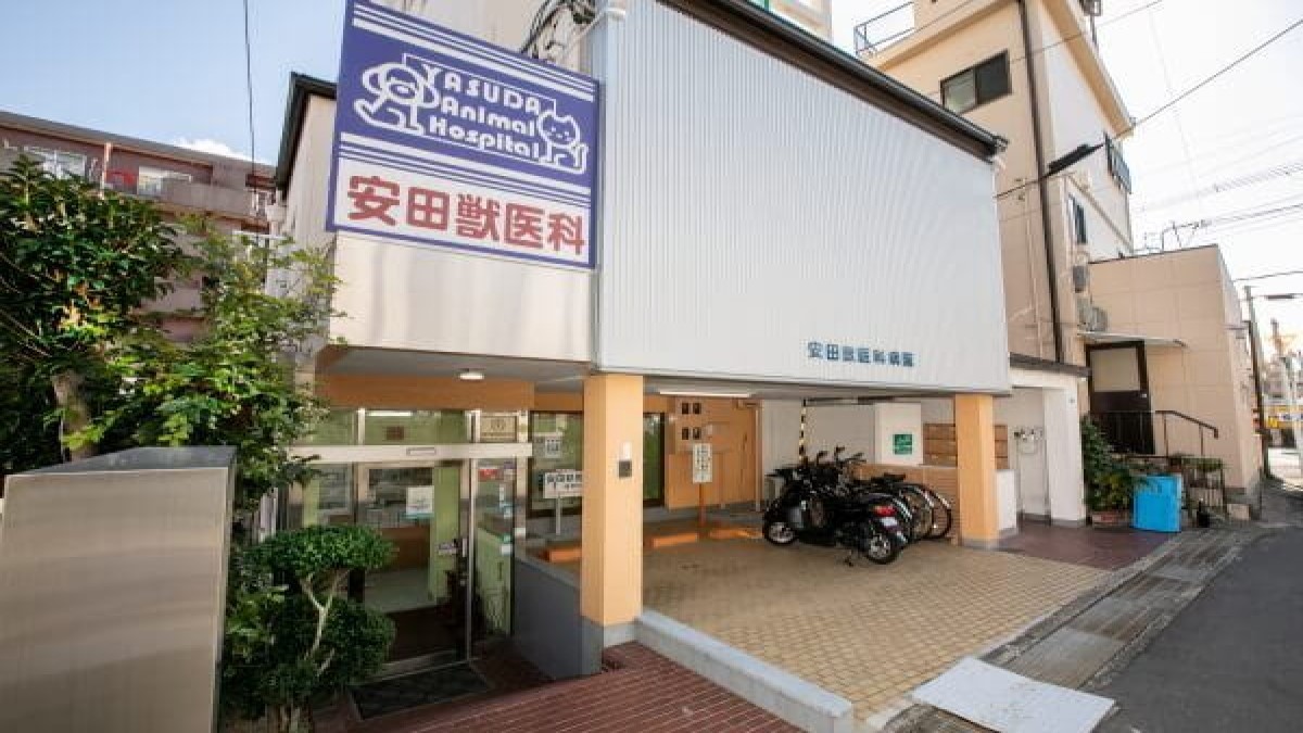 安田獣医科病院
