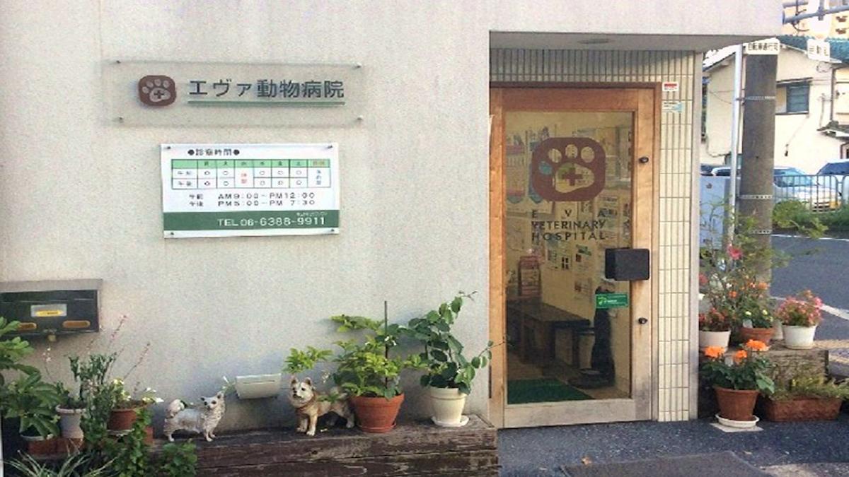 エヴァ動物病院