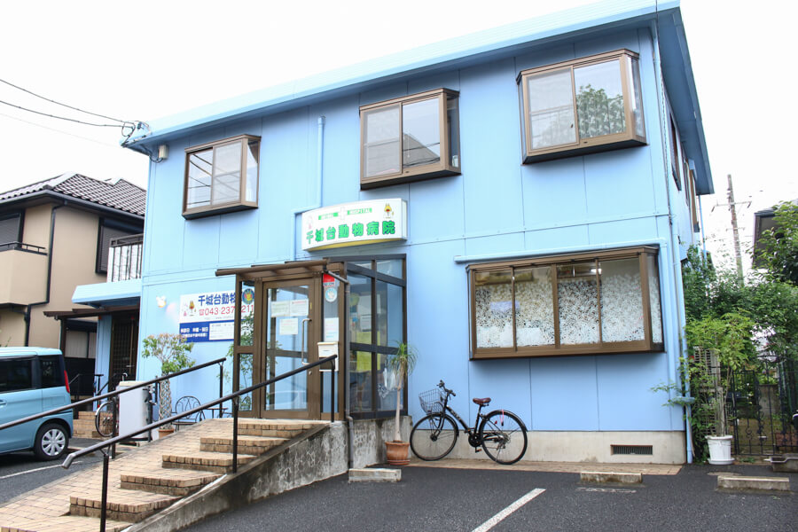 千城台動物病院