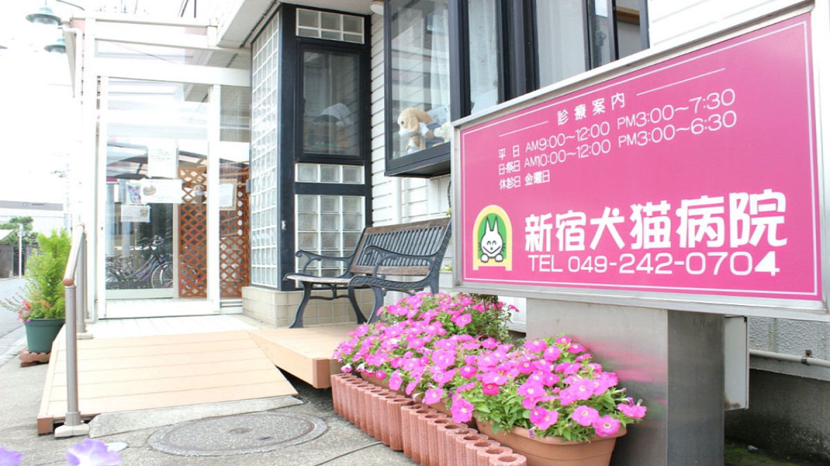 新宿犬猫病院