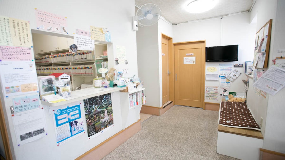 新宿犬猫病院