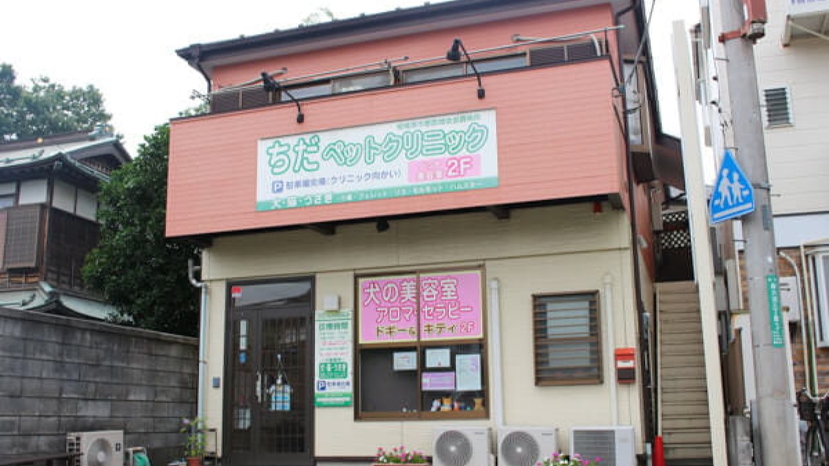 ちだペットクリニック