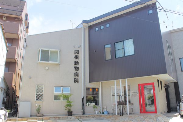 関根動物病院