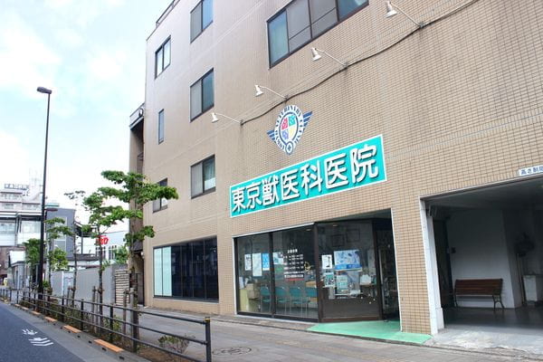 東京獣医科医院