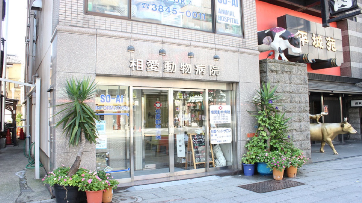 相愛動物病院